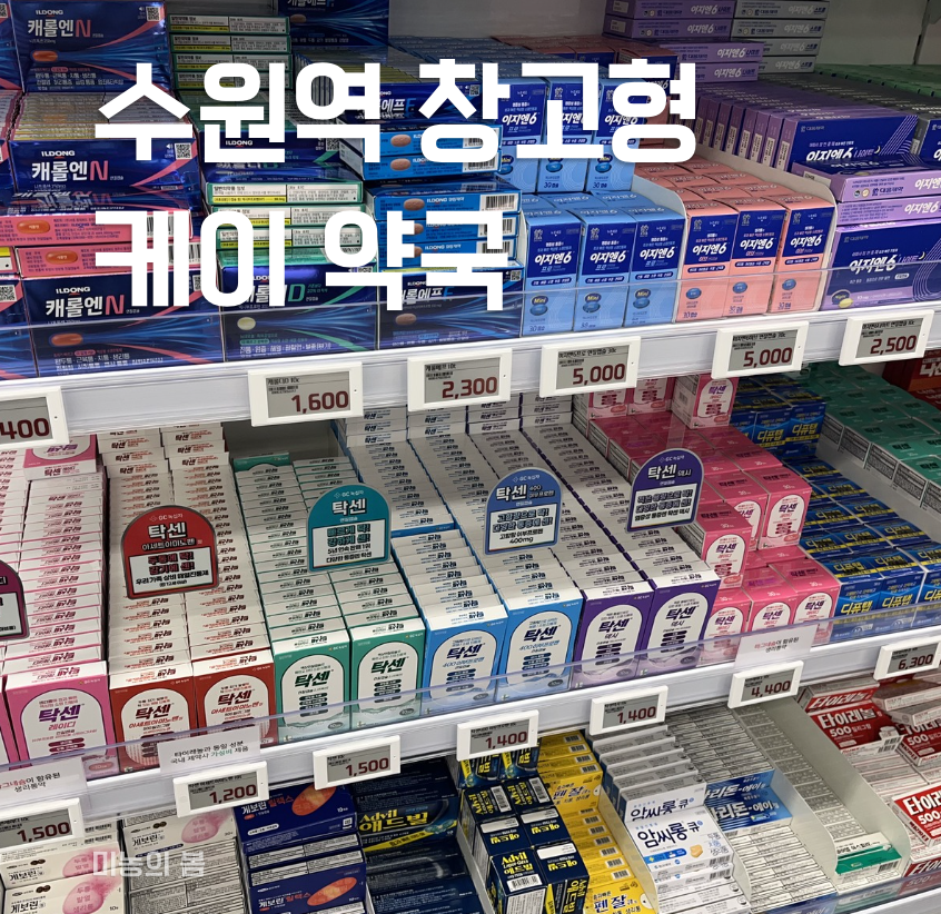 수원역 창고형 케이 약국 가는 길 쇼핑 리스트