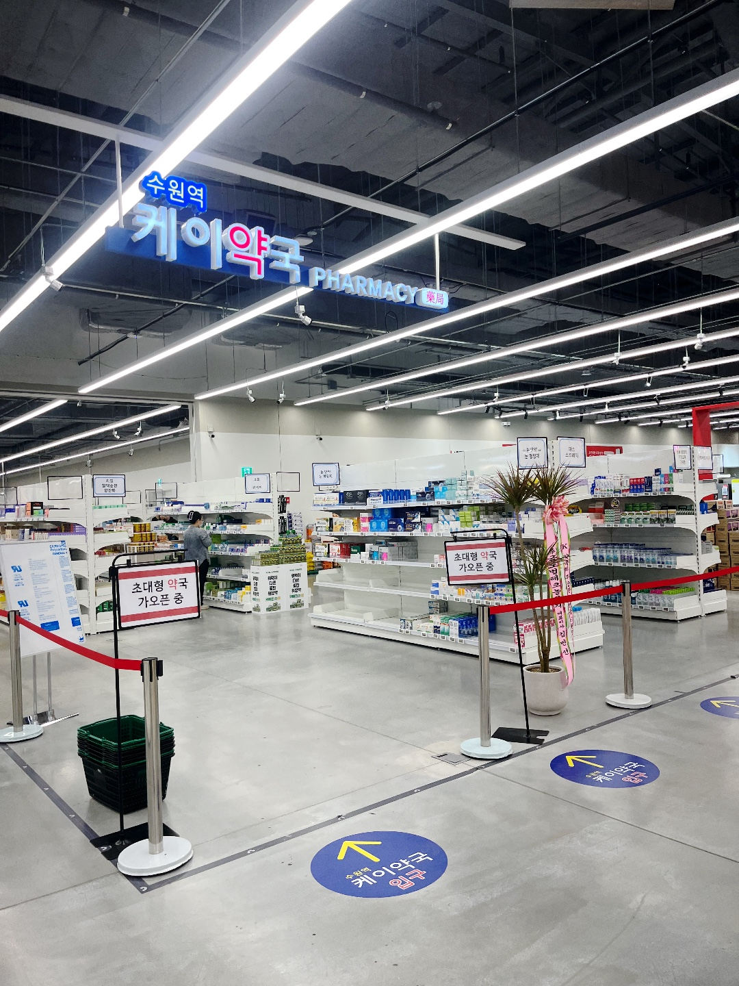 건강정보 테스트 글